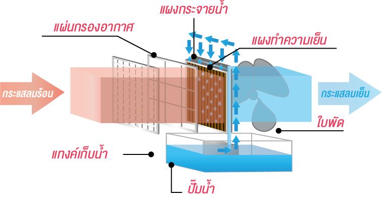 ระบบอีแวป (Evap) สำหรับโรงงานอุตสาหกรรม