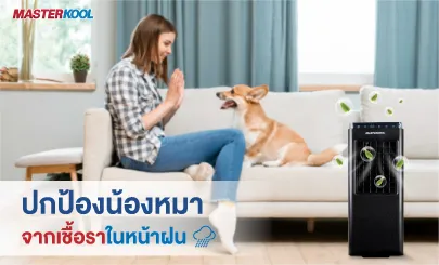 ปกป้องน้องหมา