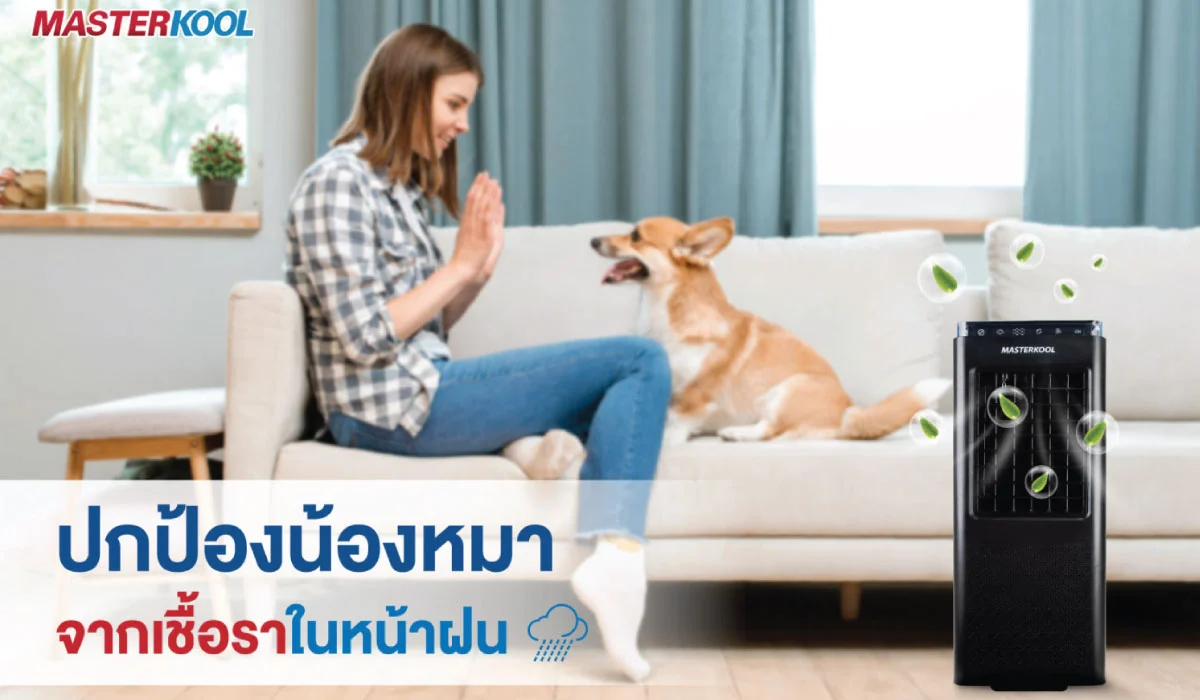 ปกป้องน้องหมา จากเชื้อราหน้าฝน