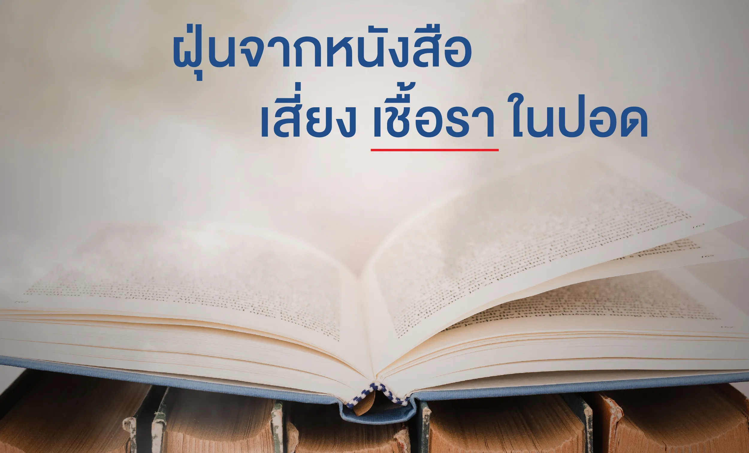 ฝุ่นจากหนังสือ